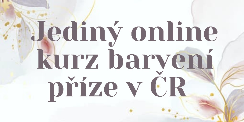 Jediný online kurz